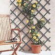 NORTENE - Treillis extensible en PVC - Gris - 1x2 m - vignette