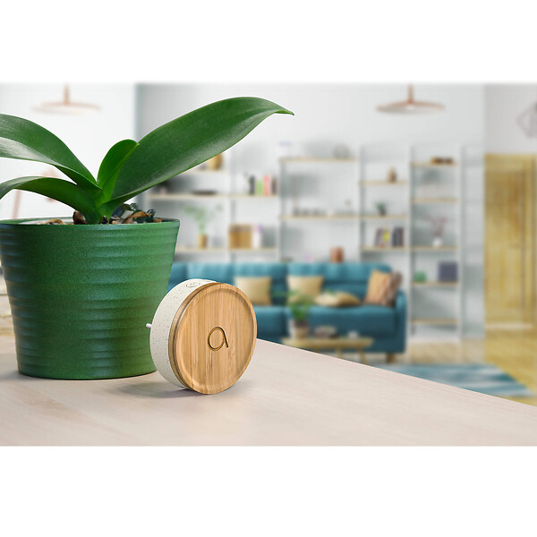 AVIDSEN - Lot de 2 carillons et 2 boutons sans fil sans pile Bamboo - large