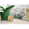 AVIDSEN - Lot de 2 carillons et 2 boutons sans fil sans pile Bamboo - vignette