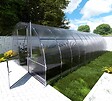 KLASIKA GREENHOUSES - Serre de jardin KLASIKA EASY 3 x 8 m (24 m²), 6 mm avec revêtement en polycarbonate - vignette
