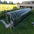 KLASIKA GREENHOUSES - Serre de jardin KLASIKA ARCH 3 x 8 m (24 m²), 4 mm avec revêtement en polycarbonate - vignette