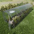 KLASIKA GREENHOUSES - Serre de jardin KLASIKA BALTIC LT 3 x 8 m (24 m²), 4 mm avec revêtement en polycarbonate - vignette