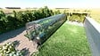 KLASIKA GREENHOUSES - Serre de jardin KLASIKA SLIM 2 x 10 m (20 m²) , 4 mm avec revêtement en polycarbonate - vignette