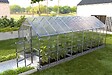 KLASIKA GREENHOUSES - Serre de jardin -  KLASIKA HOUSE 2,35 x 6,12 m (14,38 m²), 6 mm avec revêtement en polycarbonate KLASIKA GREENHOUSES - vignette