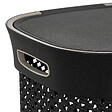 5 FIVE SIMPLY SMART - Panier à linge 60L en Polypropylène Gris Anthracite - vignette