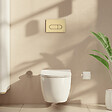 VITRA - Plaque de commande VitrA Root Round  Or brossé - vignette