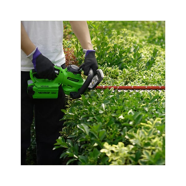 GREENWORKS TOOL - Taille-haies 61 cm GREENWORKS 40V - Sans batterie ni chargeur - G40HT61 - large