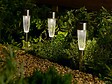 SMARTSOLAR - Balise solaire flute - vignette