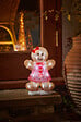 SMARTSOLAR - Figurine lumineuse pain d'épice InLit Ice - 24 LED - H.30cm - vignette