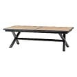 HESPERIDE - Table de jardin extensible AXIOME Effet bois Noix & Graphite 12 places - vignette