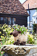 SMARTSOLAR - Jardinière décorative en rotin Mouton Shelley - Naturelle - vignette