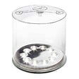 BIOLITE - LUCI Originale MATTE  - Lanterne Gonflable Solaire & Chargeur - vignette