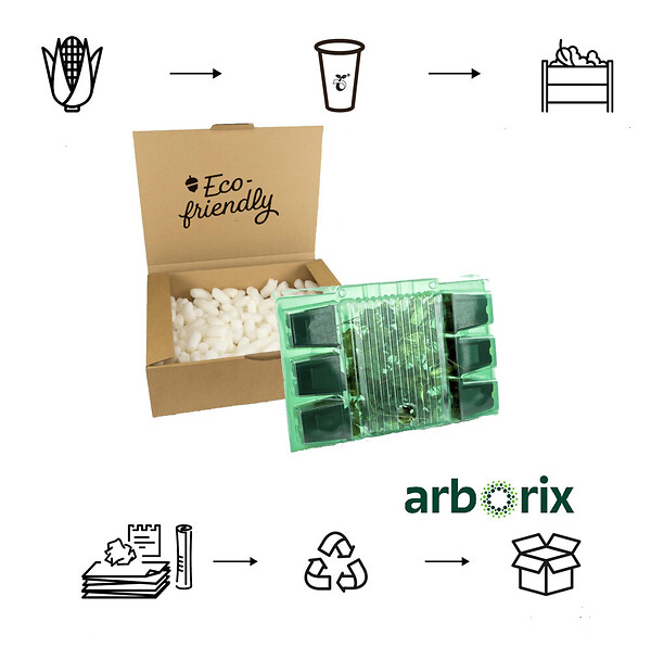 ARBORIX - 6 x Bambou nain 'Distichus' - Pleioblastus pygmaeus 'Distichus'  - godet 9cm x 9cm - large