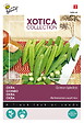 ARBORIX - Buzzy Xotica Gombo Clemson Spineless Semences - Ca. 8 gr (Livraison Gratuite) - vignette