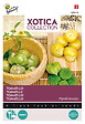 ARBORIX - Buzzy Xotica Tomatille du Mexique Semences - Ca. 1 gr (Livraison Gratuite) - vignette