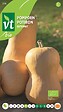 ARBORIX - Potiron Butternut Bio - Ca. 1,5 gr (Livraison Gratuite) - vignette