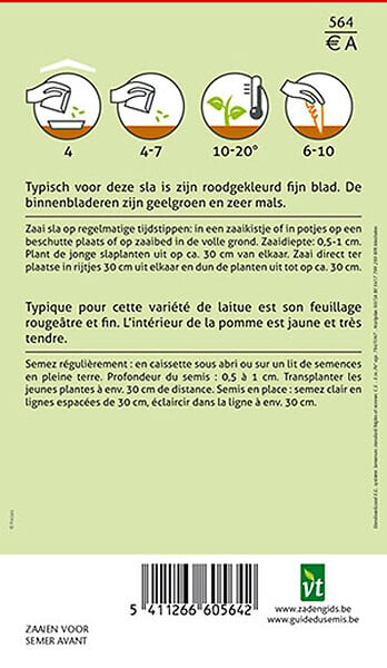 ARBORIX - Laitue Merveille Des Quartes Saisons - Ca. 3 gr (Livraison Gratuite) - large