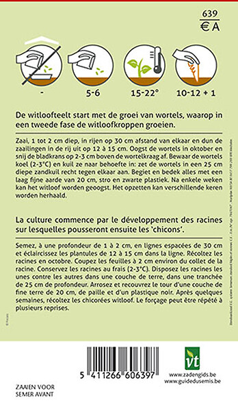 ARBORIX - Chicorée Witloof De Bruxelles - Ca. 4 gr (Livraison Gratuite) - large