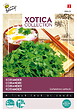ARBORIX - Buzzy Xotica Coriandre Semences - Ca. 10 gr (Livraison Gratuite) - vignette