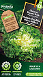 PROTECTA - Chicorée Scarole Verte- Protecta Graines paysanne - Ca. 5 gr (Livraison Gratuite) - vignette