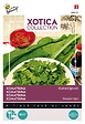 ARBORIX - Buzzy Xotica Komatsuna Semences - Ca. 3 gr (Livraison Gratuite) - vignette
