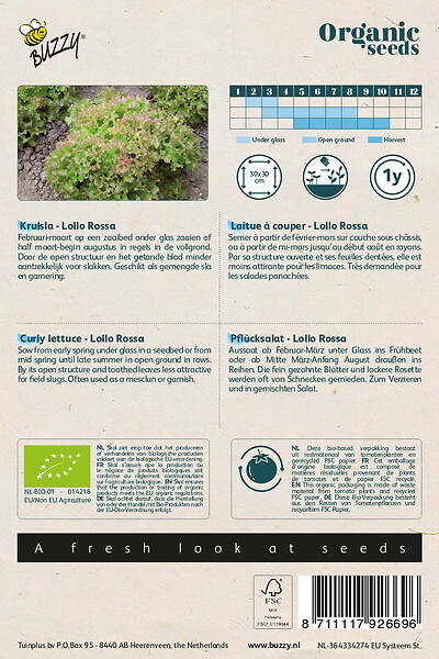 ARBORIX - Buzzy Organic Laitue à couper Lollo Rossa- Bio Semences - Ca. 0,5 gr (Livraison Gratuite) - large
