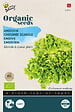 ARBORIX - Buzzy Organic Chic. Scar. Blonde A Coeur Plein- Bio Semences - Ca. 1 gr (Livraison Gratuite) - vignette