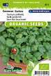 ARBORIX - Basilic grande vert. Genovese Semences - Gustosa Semences - Biologiques - Ca. 1 g (Livraison Gratuite) - vignette
