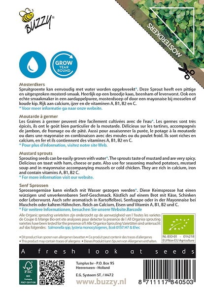 ARBORIX - Buzzy Organic Sprouting de Moutarde - Bio Semences - Ca. 30 gr (Livraison Gratuite) - large