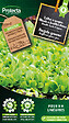 PROTECTA - Laitue à couper Blonde à feuilles lisses – Protecta Graines paysanne - Ca. 4 gr (Livraison Gratuite) - vignette