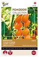 ARBORIX - Buzzy Pomodori Tomate a Cerise Dolly F1 Semences - Ca. 7 graines (Livraison Gratuite) - vignette