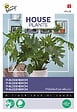 ARBORIX - Buzzy House Plants Philodendron Selluom Semences - Ca. 20 graines (Livraison Gratuite) - vignette