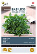 ARBORIX - Buzzy Basilic Grec compact très fin Semences - Ca. 1,5 gr (Livraison Gratuite) - vignette