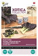 ARBORIX - Buzzy Xotica Légume japonais Rouge Semences - Ca. 1 gr (Livraison Gratuite) - vignette