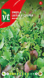 ARBORIX - Laitue à Couper Maxi Mix - Ca. 4 gr (Livraison Gratuite) - vignette