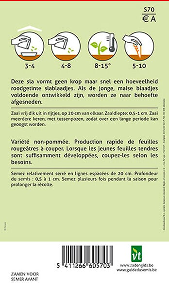 ARBORIX - Laitue à Couper Frisée D'Amérique - Ca. 4 gr (Livraison Gratuite) - large