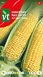 ARBORIX - Mais Sucre Golden Bantam - Ca. 10 gr (Livraison Gratuite) - vignette
