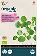 ARBORIX - Buzzy Organic Cresson de fontaine - Bio Semences - Ca. 0,1 gr (Livraison Gratuite) - vignette