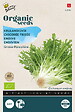 ARBORIX - Buzzy Organic Chicorée Frisée Grosse Pancalière - Bio Semences - Ca. 1 gr (Livraison Gratuite) - vignette