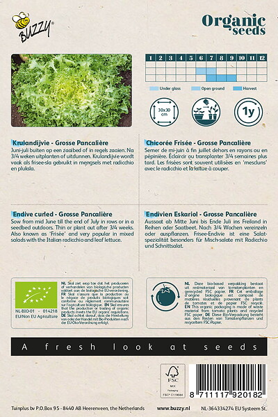 ARBORIX - Buzzy Organic Chicorée Frisée Grosse Pancalière - Bio Semences - Ca. 1 gr (Livraison Gratuite) - large