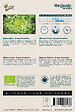 ARBORIX - Buzzy Organic Chicorée Frisée Grosse Pancalière - Bio Semences - Ca. 1 gr (Livraison Gratuite) - vignette