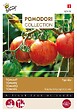 ARBORIX - Buzzy Pomodori Tomate Tigerella Semences - Ca. 1,5 gr (Livraison Gratuite) - vignette