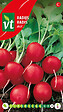 ARBORIX - Radis Jolly - Ca. 8 gr (Livraison Gratuite) - vignette