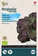 ARBORIX - Buzzy Organic Moutarde Red Giant - Bio Semences - Ca. 1 gr (Livraison Gratuite) - vignette