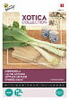 ARBORIX - Buzzy Xotica Laitue Asperge Semences - Ca. 1 gr (Livraison Gratuite) - vignette