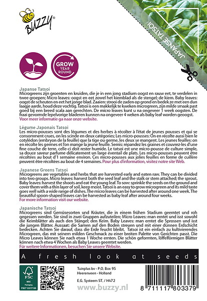 ARBORIX - Buzzy Microgreens Légume japonais Tatsoi Semences - Ca. 1 gr (Livraison Gratuite) - large