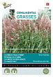 ARBORIX - Buzzy Ornamental Grasses Roseau de Chine 'New Hybrids' Semences - Ca. 0,05 gr (Livraison Gratuite) - vignette