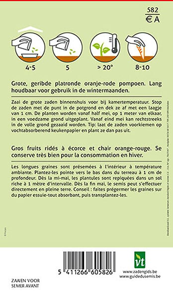 ARBORIX - Potiron Rouge Vif D'Etampes - Ca. 2 gr (Livraison Gratuite) - large