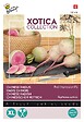 ARBORIX - Buzzy Xotica Radis d'Hiver Red Impression F1 Semences - Ca. 50 graines (Livraison Gratuite) - vignette