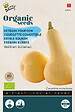 ARBORIX - Buzzy Organic Courgette comestible Waltham Butternut - Bio Semences - Ca. 2 gr (Livraison Gratuite) - vignette